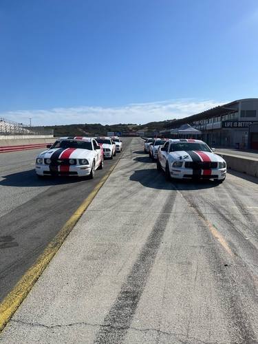 Skip Barber Mustangs